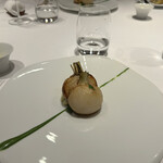 レフェルヴェソンス - 