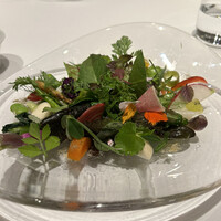 レフェルヴェソンス - 