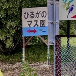 ひるがのマス園 - 