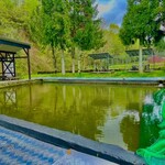 ひるがのマス園 - 