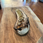 マルタ - たけのこ