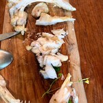 マルタ - アンコウ