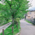 サロン ド テ メルクルディ - 