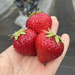 姫路ハートフル観光農園 - 