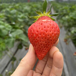 姫路ハートフル観光農園 - 