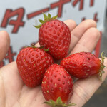 姫路ハートフル観光農園 - 