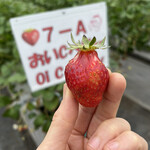 姫路ハートフル観光農園 - 