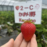 姫路ハートフル観光農園 - 