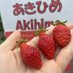 姫路ハートフル観光農園 - 