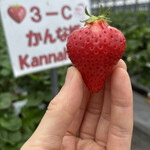 姫路ハートフル観光農園 - 