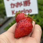 姫路ハートフル観光農園 - 