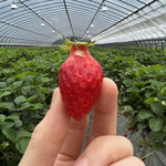 姫路ハートフル観光農園 - 