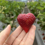 姫路ハートフル観光農園 - 