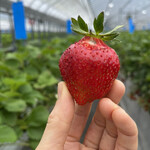 姫路ハートフル観光農園 - 