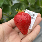 姫路ハートフル観光農園 - 