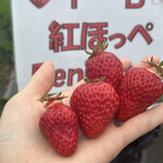 姫路ハートフル観光農園 - 