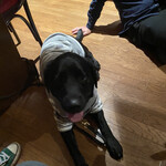 リブ ゴーシュ - 