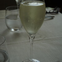 サーラ アマービレ - 