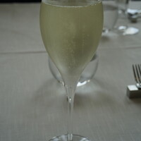 サーラ アマービレ - 