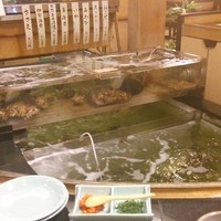 割烹 かじ 本店 - 生け簀にはいろんな魚がいっぱい