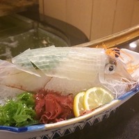 割烹 かじ 本店 - ヤリイカ姿造り