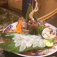 割烹 かじ 本店 - オコゼ造り
