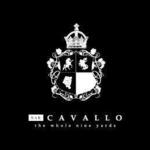 バー カヴァロ - 