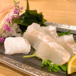 Konishi Zushi - 