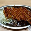 ゴーゴーカレー 金沢駅総本山