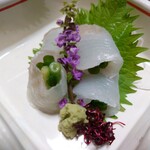 閑祥庵 禅紫 - モカレイ