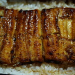 割烹蒲焼 大観楼 - 鰻丼　月