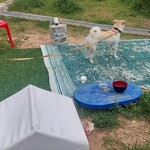 ヨンドヘニョチョン - 