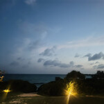 ブルータートル - 