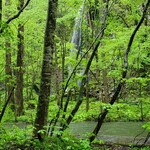 奥入瀬 湧水館 - 