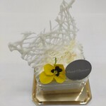 グラン クラシック - 