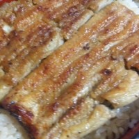 五代目 野田岩 麻布飯倉本店 - 鰻重　3,200円