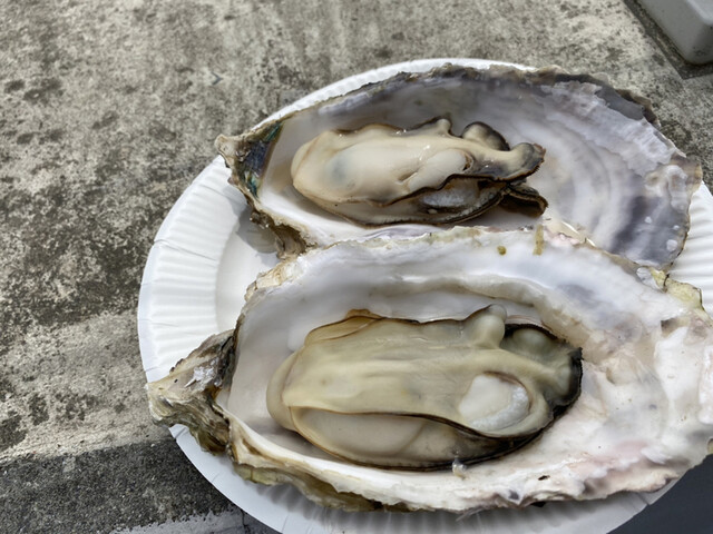 道の駅 硯上の里 おがつ - 石巻市その他（道の駅）の写真