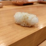 鮨　仙八 - アオリイカ