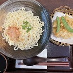 Niikura Udon Hiro Tomi - 季節のかき揚げぶっかけうどん