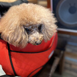 THE NUTS EXCHANGE - この後、リュックに入ったまま椅子の下に転げ落ちました。無事！ｗｗｗ