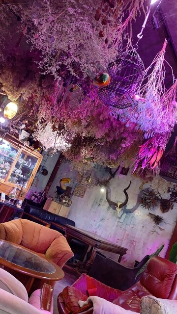 Himitsu Kichi Shokubutsuen photo 4