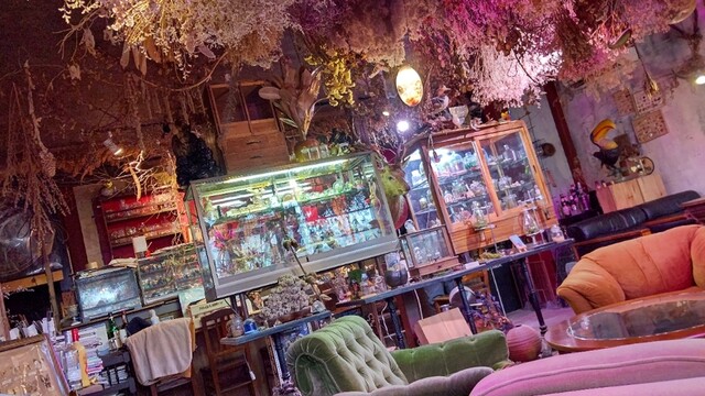 Himitsu Kichi Shokubutsuen photo 5