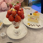 アロー ツリー - 