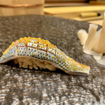 名駅 鮨 Sublime - 寿司　コハダ