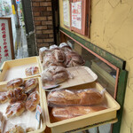 ブロート ヴァルム - 