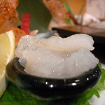 だぼ - 花おこぜのお造り