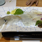 鶏と魚の店 丸坊主 - 料理写真:活イカ刺し