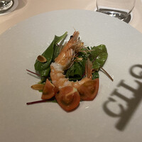 CILQ - 