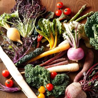 Colorful vegetables from Oyama Farm in Tachikawa