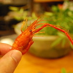 かもん亭 - 川エビ　手が長い～♪